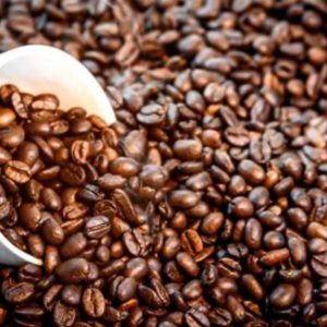 Nicaragua Selva Negra
