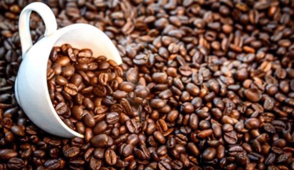 Nicaragua Selva Negra